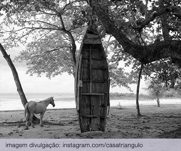 Foto de Meu Quintal É Maior que o Mundo