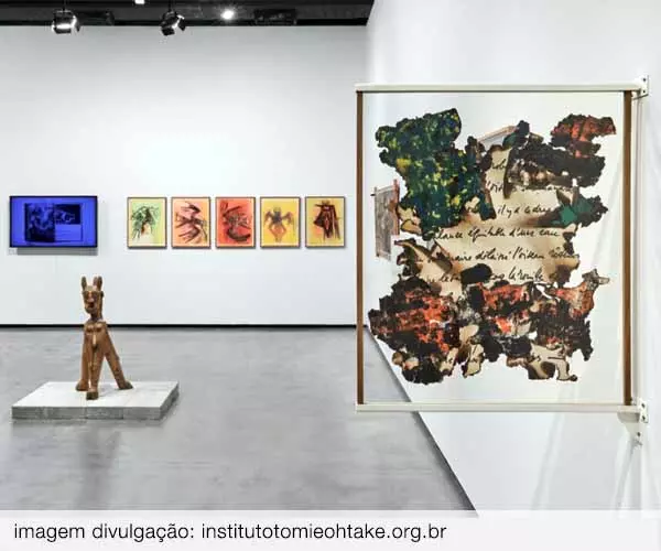 Foto de A terra, o fogo, a água e os ventos