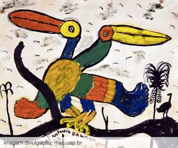 Foto de José Antônio da Silva: Pintar o Brasil