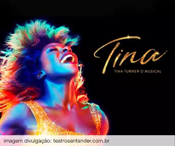 Foto de Tina Turner: o musical