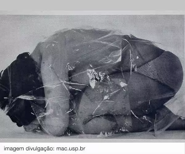 Foto de Insurgências revisita vanguarda feminista dos anos 70