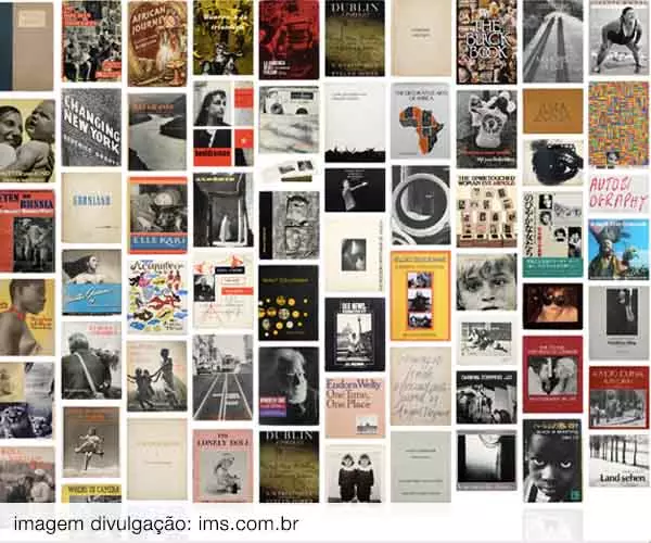 Foto de O que elas viram