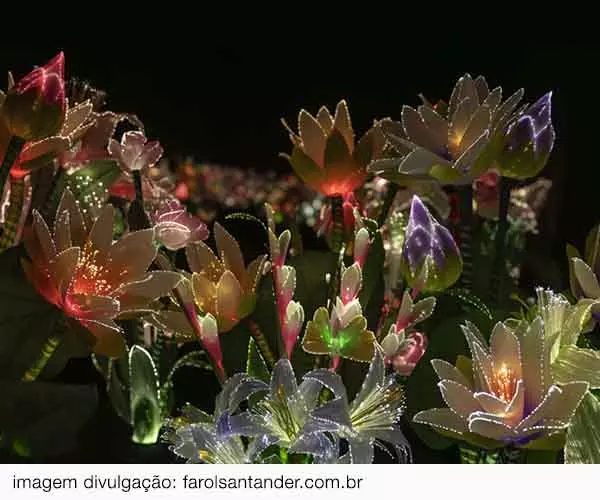 Foto de Joana Vasconcelos: Jardim do Éden em SP