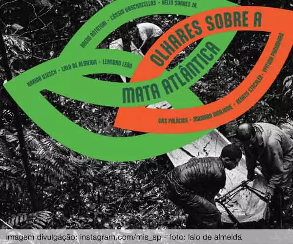 Foto de Olhares sobre a Mata Atlântica – celebra a Serra do Mar